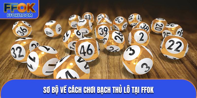 Sơ bộ về cách chơi bạch thủ lô tại FFOK