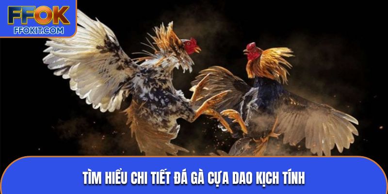 Tìm hiểu chi tiết đá gà cựa dao kịch tính