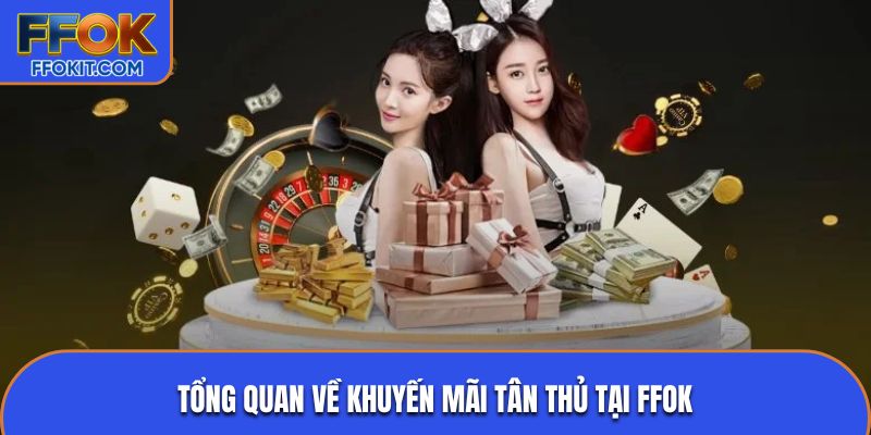 Tổng quan về khuyến mãi tân thủ tại FFOK